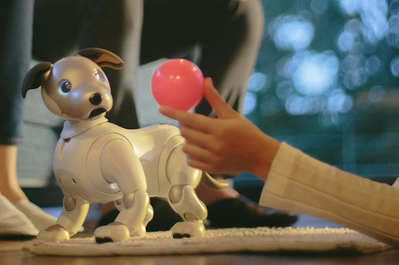 robot aibo sony robot aibo sony